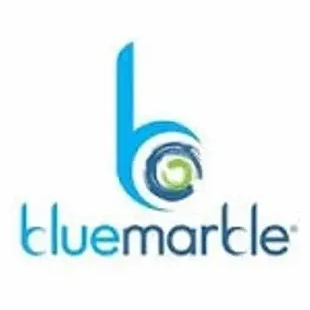 lovebluemarble brand logo for lovebluemarble.com