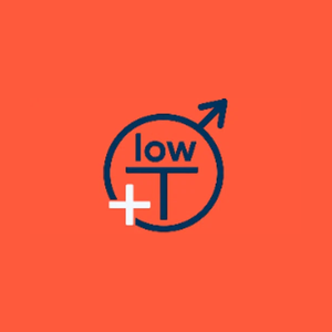 lowtmedicalclinic brand logo for lowtmedicalclinic.com