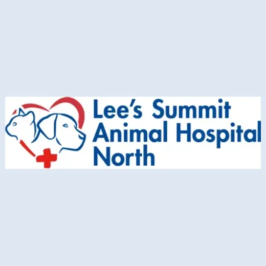 lsahnorth brand logo for lsahnorth.com