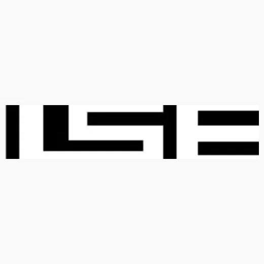 lselighting brand logo for lselighting.com