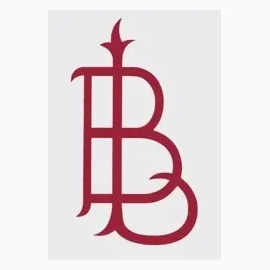 lucianobarbera brand logo for lucianobarbera.com