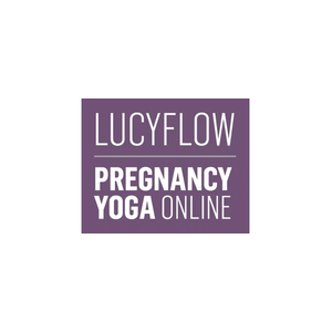 lucyflow brand logo for lucyflow.com