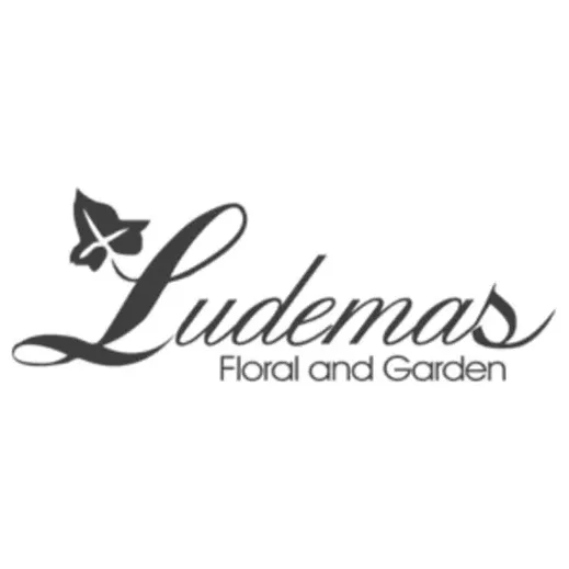 ludemas brand logo for ludemas.com