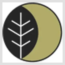 lunamatcha brand logo for lunamatcha.com