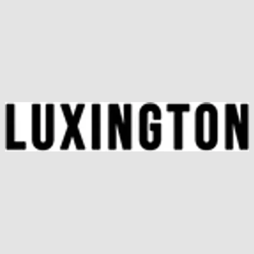 luxingtonboutique brand logo for luxingtonboutique.com