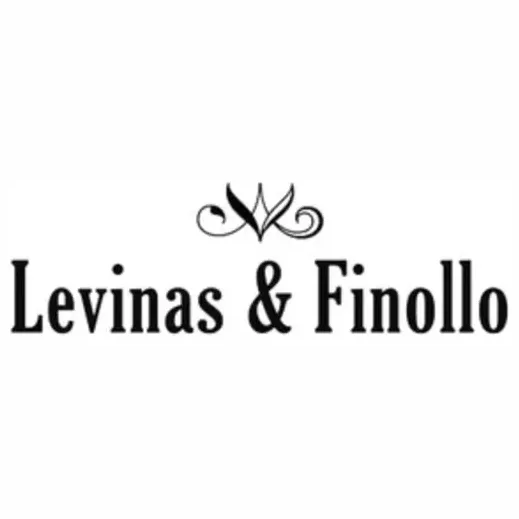 lvsfashion brand logo for lvsfashion.com