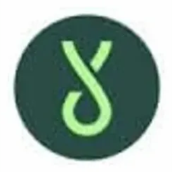 lyphegroup brand logo for lyphegroup.com