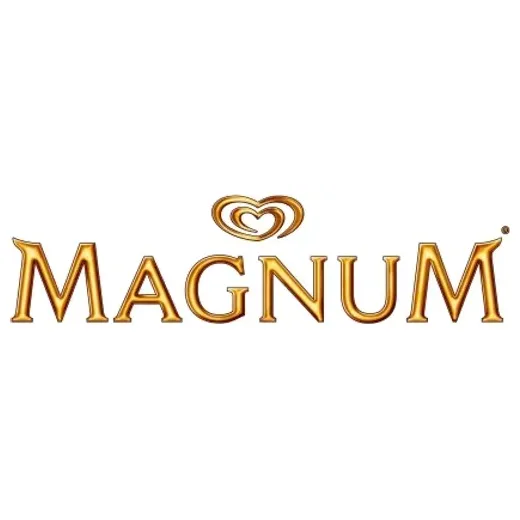 magnumicecream brand logo for magnumicecream.com