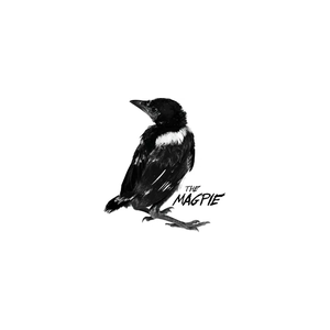magpie brand logo for magpie.us