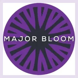 majorbloom brand logo for majorbloom.com
