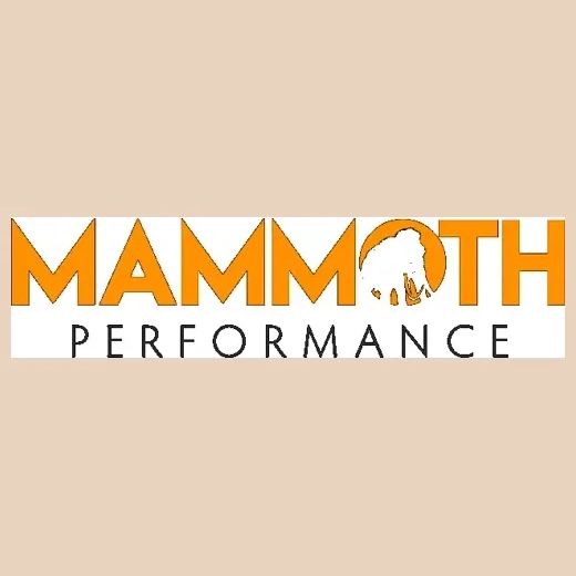 mammothparts brand logo for mammothparts.com