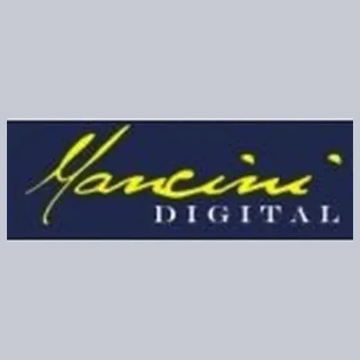 mancinidigital brand logo for mancinidigital.com