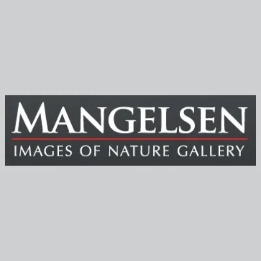 mangelsen brand logo for mangelsen.com