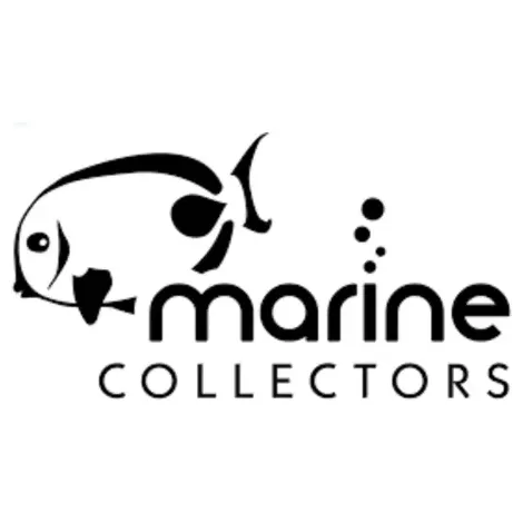 marinecollectors brand logo for marinecollectors.com