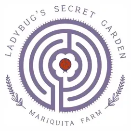 mariquita brand logo for mariquita.com