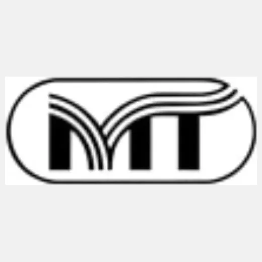 mastertoysinc brand logo for mastertoysinc.com