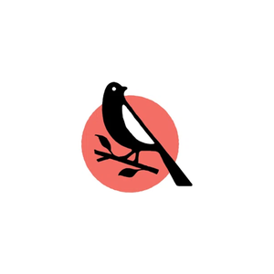 mbird brand logo for mbird.com