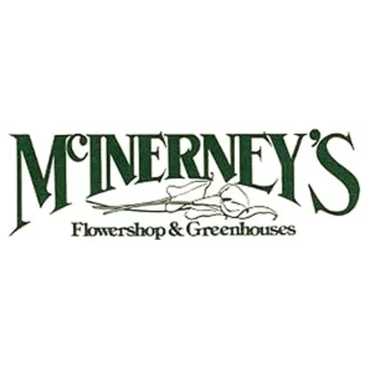 mcinerneysflowershop brand logo for mcinerneysflowershop.com