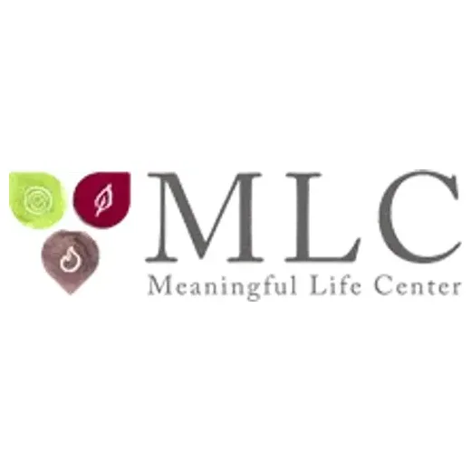 meaningfullife brand logo for meaningfullife.com