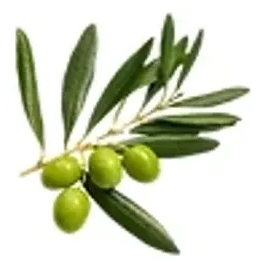 mediterraneanfoodmart brand logo for mediterraneanfoodmart.com