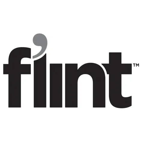 meetflint brand logo for meetflint.com