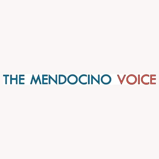 mendovoice brand logo for mendovoice.com