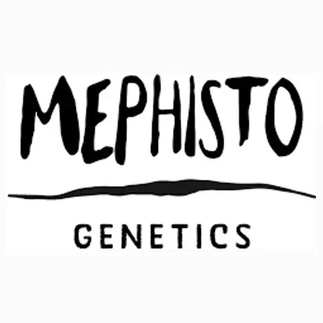 mephistogenetics brand logo for mephistogenetics.com