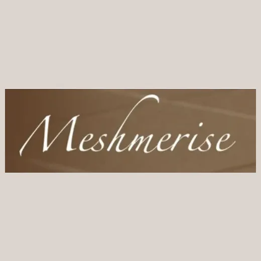 meshmerise brand logo for meshmerise.com