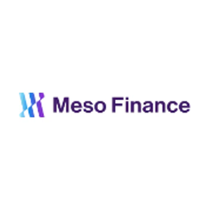 meso brand logo for meso.finance