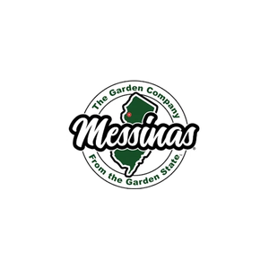 messinas brand logo for messinas.com