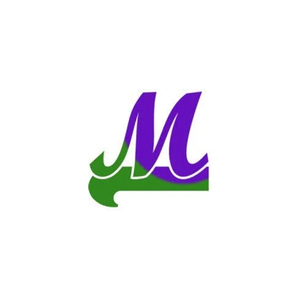 metricsart brand logo for metricsart.com