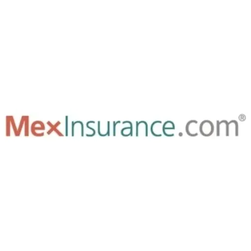 mexinsure brand logo for mexinsure.com
