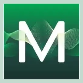 Mindset brand logo for getmindset.com