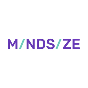 mindsize brand logo for mindsize.com
