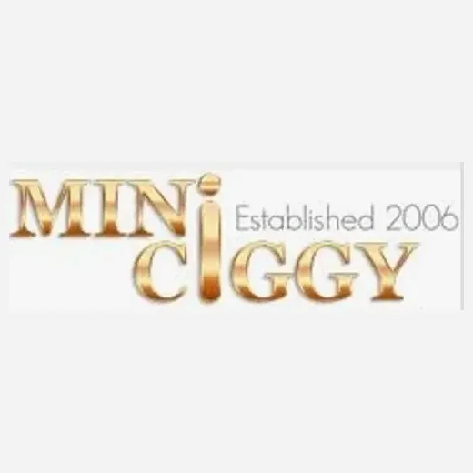 miniciggy brand logo for miniciggy.com