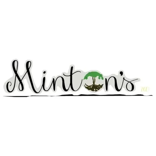 mintonsat760 brand logo for mintonsat760.com