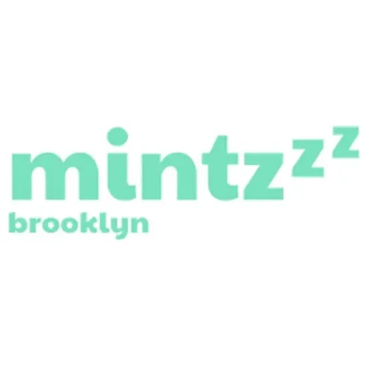 mintzzz brand logo for mintzzz.com