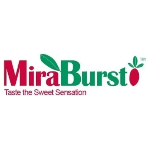 miraburst brand logo for miraburst.com