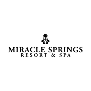 miraclesprings brand logo for miraclesprings.com