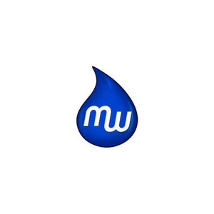 mobilewash brand logo for mobilewash.com