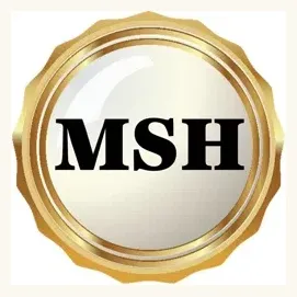 modernsmarthealth brand logo for modernsmarthealth.com