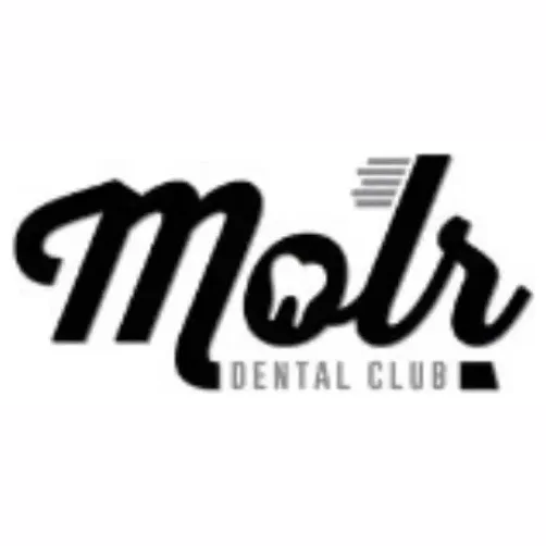 molr brand logo for molr.co