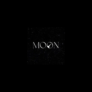 moon brand logo for moon.ws