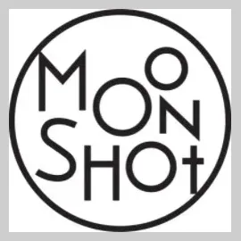 moonshotsnacks brand logo for moonshotsnacks.com