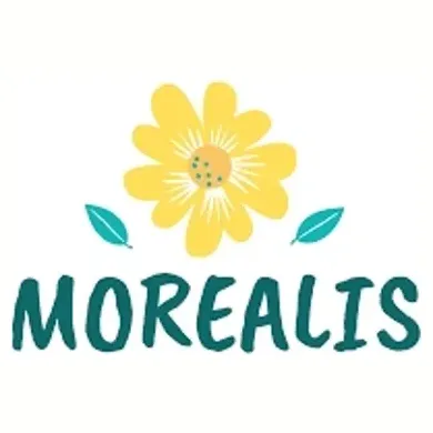 morealis brand logo for morealis.co