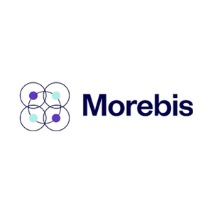 morebis brand logo for morebis.net