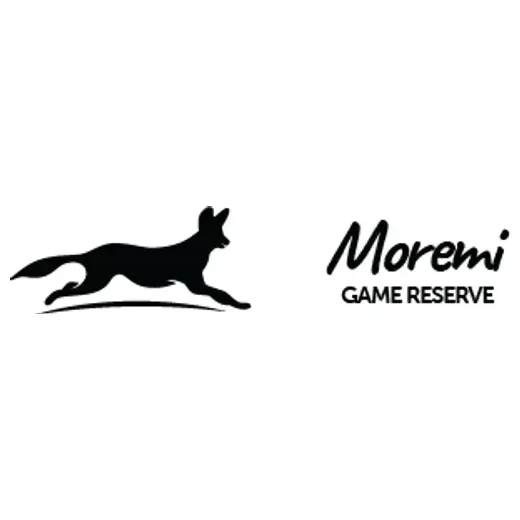 moremi brand logo for moremi.com