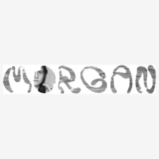 morganlindsaynelson brand logo for morganlindsaynelson.com