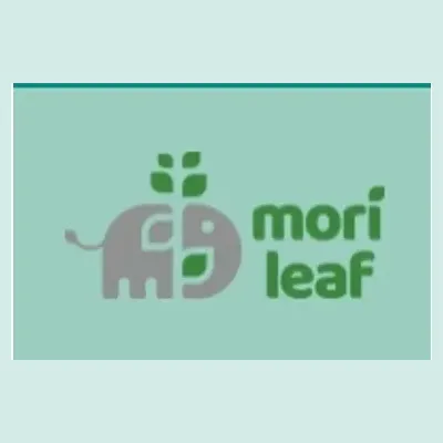 morileaf brand logo for morileaf.com