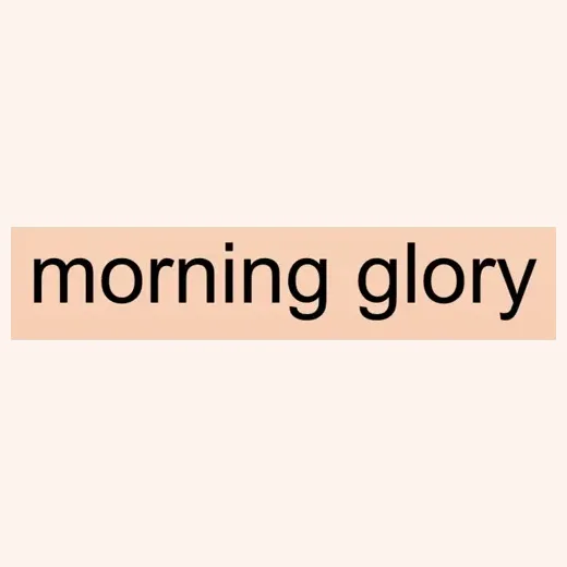 morninggloryfancy brand logo for morninggloryfancy.com